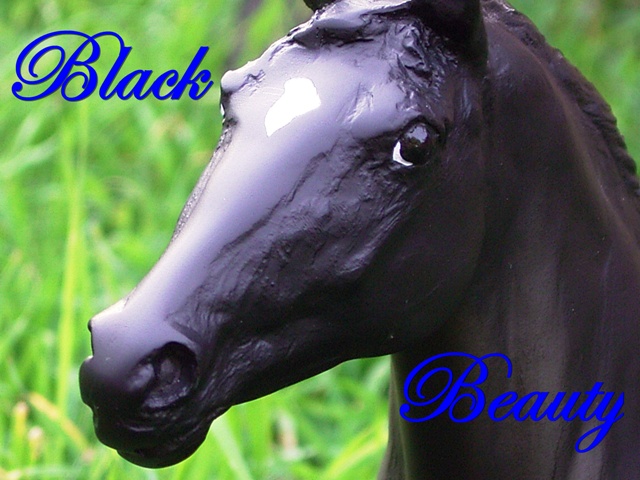 blackbeauty.jpg