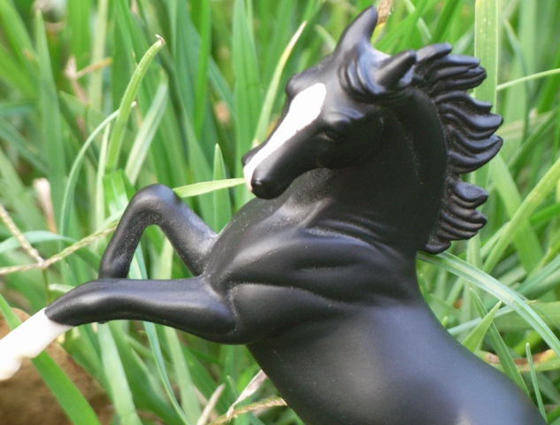 rimg0035.jpg